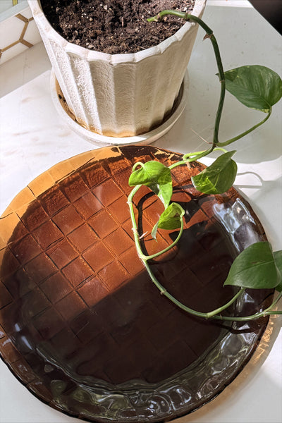 Vintage Large Plate Tray